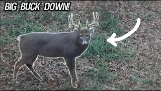 Minnesota Whitetail Bow Hunt (BIG BUCK)