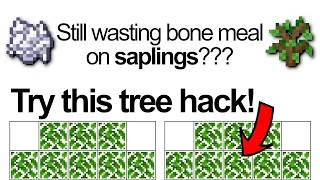 Try this Minecraft tree hack! Never plant another sapling again!