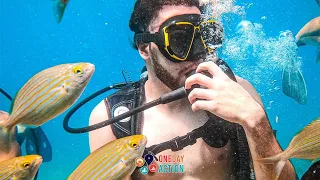 ONE DAY ACTıON | ALANYA SCUBA DIVING | AMAZING DAILY TOUR