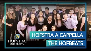 Hofstra A cappella - The Hofbeats