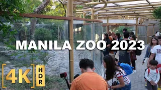 Manila Zoo Now With ₱150 Entrance Fee | New Attractions Walking Tour 2023 | 4K HDR | Philippines