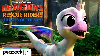 A New Rainbow Dragon Friend | DRAGONS RESCUE RIDERS: HEROES OF THE SKY