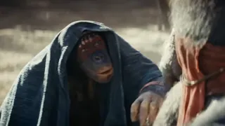 What’s Next for Planet of the Apes