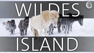 Wildes Skandinavien: Island | Erlebnis Erde