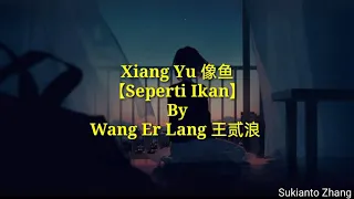 Xiang Yu 像鱼 (Seperti ikan) - 王贰浪 Wang Er Lang & lyrics/lirik