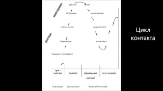 "Цикл контакта для чайников" | Максим Пестов и Светлана Москаленко