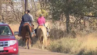 KAMC 5 Mounted patrol search in Zoe Campos investigation