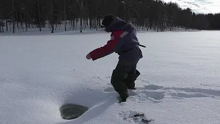 РЫБАЛКА В ЗАГАДОЧНОЙ ДЫРЕ НА ТАЁЖНОМ ОЗЕРЕ! КЛЮЁТ,КАК ИЗ ПУЛЕМЁТА! БУРАН ПРЁТ ПО СНЕГУ, КАК ДТ-75!