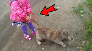 The children abused the kitten. What happened next will surprise you!