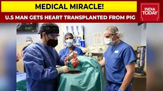 U.S Man Gets Heart Transplanted From Pig, 57-Year-Old Recovering After Unique & Historical Surgery