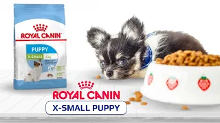 Сухой корм Royal Canin X-Small Puppy для щенков миниатюрных пород до 10 месяцев