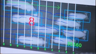 La semaine verte | Haute technologie dans les porcheries