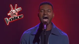 The Voice - Best Blind Auditions Worldwide (№19)