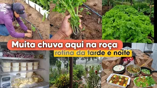 Há muitos anos não chovia assim🙌janta no fogão de lenha|comida mineira deliciosa|cuidados na horta