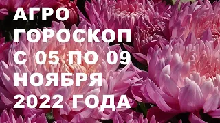 Агрогороскоп с 05 по 09 ноября 2022 года