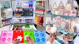 REFRIGERATOR ORGANIZATION 2023 | Hot Cocoa Station | Satisfying Fridge Restock Organizing