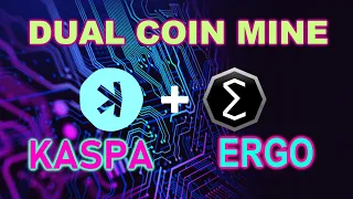 KASPA and ERGO Dual Coin Mining on HiveOS