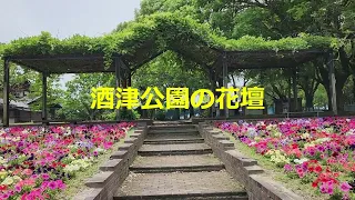 酒津公園 の花壇