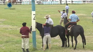 º44 Festival Provincial de Doma y flocklore 2017