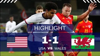 USA vs WALES 1-1 Highlights | FIFA World Cup 2022 QATAR | Match Highlights