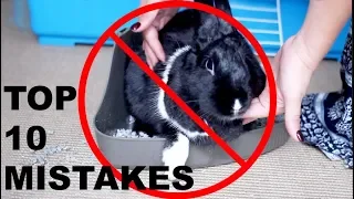 TOP 10 MISTAKES RABBIT OWNERS MAKE