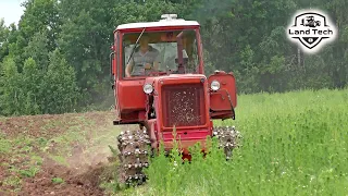 Легенда советского тракторостроения - гусеничный трактор ДТ-75 пашет заросшее поле