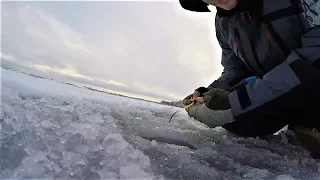 Зимняя рыбалка на Самаркандском водохранилище | Ловля на мормышку