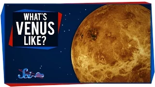What's It Like on ... Venus?