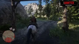 Red Dead Redemption 2 - I Didn't Mean To Kill The Cat