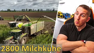 Maisernte für 2800 Milchkühe M4cM4nus Raktion auf JP Agrar Biogas & Hofbesichtigung