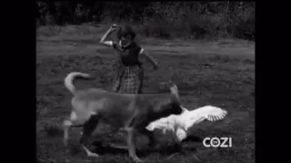 Lassie - Episode #185 - "The Contest" - Season 6 Ep. 3 - 09/20/1959