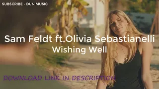 Sam Feldt ft. Olivia Sebastianelli - Wishing Well + DOWNLOAD LINK