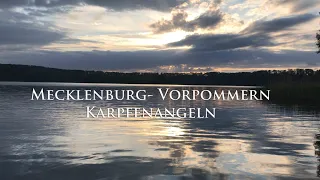 Karpfenangeln in Mecklenburg Vorpommern | Elbe Fishing Team | Karpfenangeln