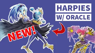 New Harpie Oracle Gives the Deck a HUGE Boost! | Yu-Gi-Oh! Duel Links