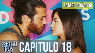 Pájaro soñador - Erkenci Kuş Capitulo 18 (Audio Español)