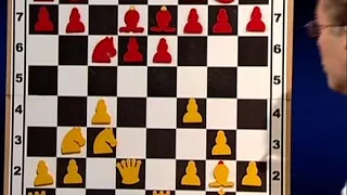 Karpov Topalov 1994 Linares