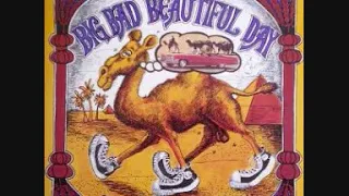 It's A Beautiul Day-No Word For Glad