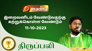 🔴 LIVE 11 OCTOBER  2023 Holy Mass in Tamil 06:00 PM (Evening Mass) | Madha TV