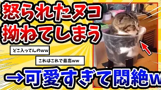 【2ch動物スレ】飼い主に注意されて拗ねてしまう子ネッコさん → 可愛すぎて悶絶www