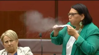 ‘Mystical cleaning powder’: Bernardi on Greens senator’s bizarre stunt