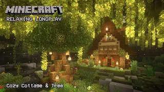 Minecraft Relaxing Longplay - Lush Caves - Cozy Cottage House (No Commentary) 1.19