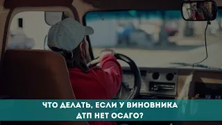 Что делать, если у виновника ДТП нет ОСАГО?