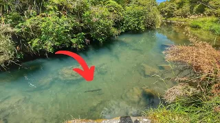 Fishing the MOST AMAZING Trout Water!