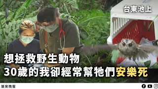 熱愛動物，卻得頻頻面臨生命垂危與離去...｜台東野生動物醫院【#誰來晚餐 15-14】Guess Who: The Wildlife Guardians In Taiwan  (Eng Sub)