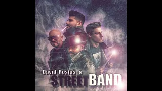 David Rostaš Beng a Sebastian Peter ( StreetBand ) _ Alkoholik (PoloCover)Prod. BENG