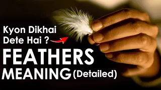 Feather Meaning - Seeing White, Grey, Black, Yellow, Blue, Green feather [Detailed Video] In Hindi