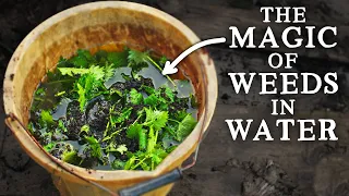 The Magic of Weeds in Water