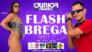 FLASH BREGA PARTE 3 AS MAIS TOCADAS 2023 BY DJ JUNIOR