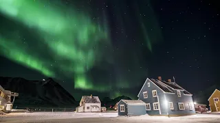 Beautiful Moments in Ny-Ålesund, Svalbard