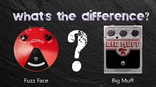 What's The Difference? Jim Dunlop Fuzz Face and Electro Harmonix Big Muff